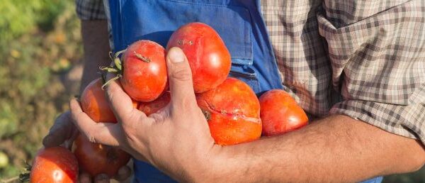 Agricultura ecológica