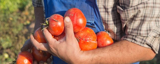 Agricultura ecológica
