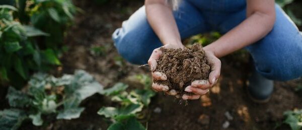 Agricultura regenerativa