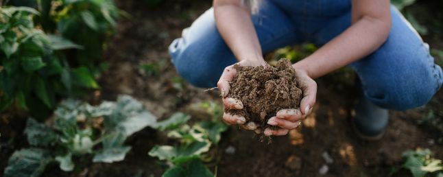 Agricultura regenerativa