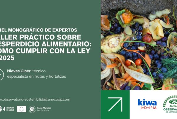 Panel de expertos Nieves Giner