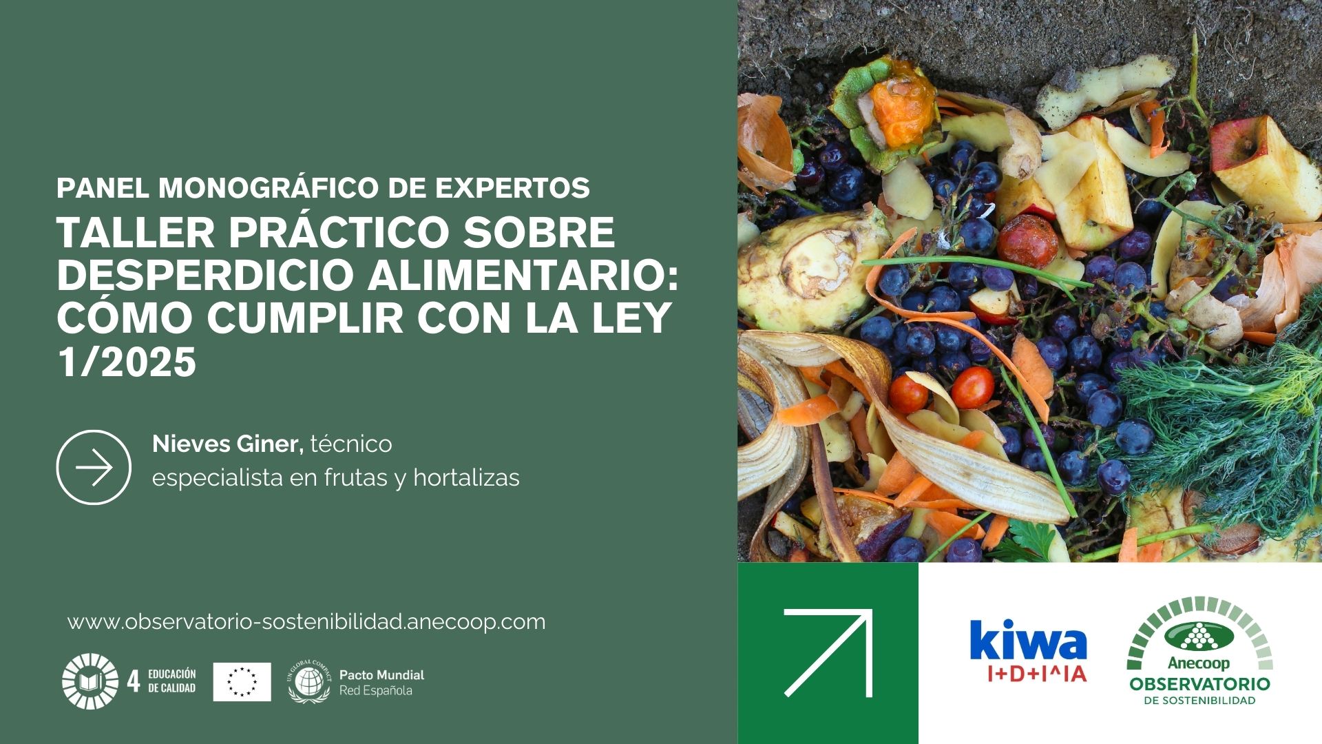 Panel de expertos Nieves Giner