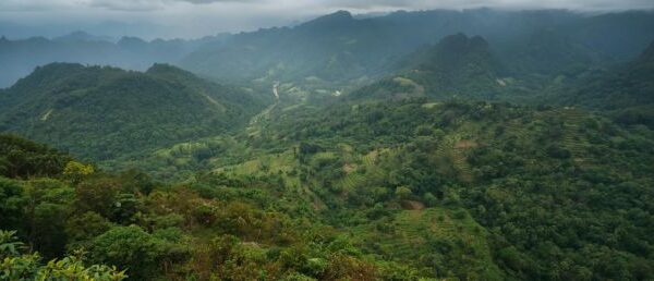 trazabilidad por lote eudr