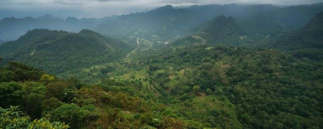 trazabilidad por lote eudr