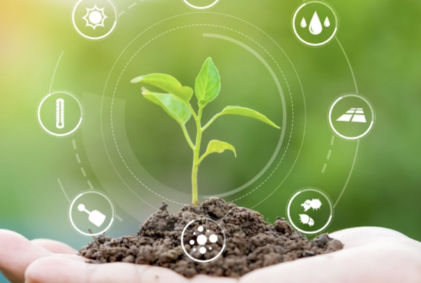 Observatorio de Anecoop