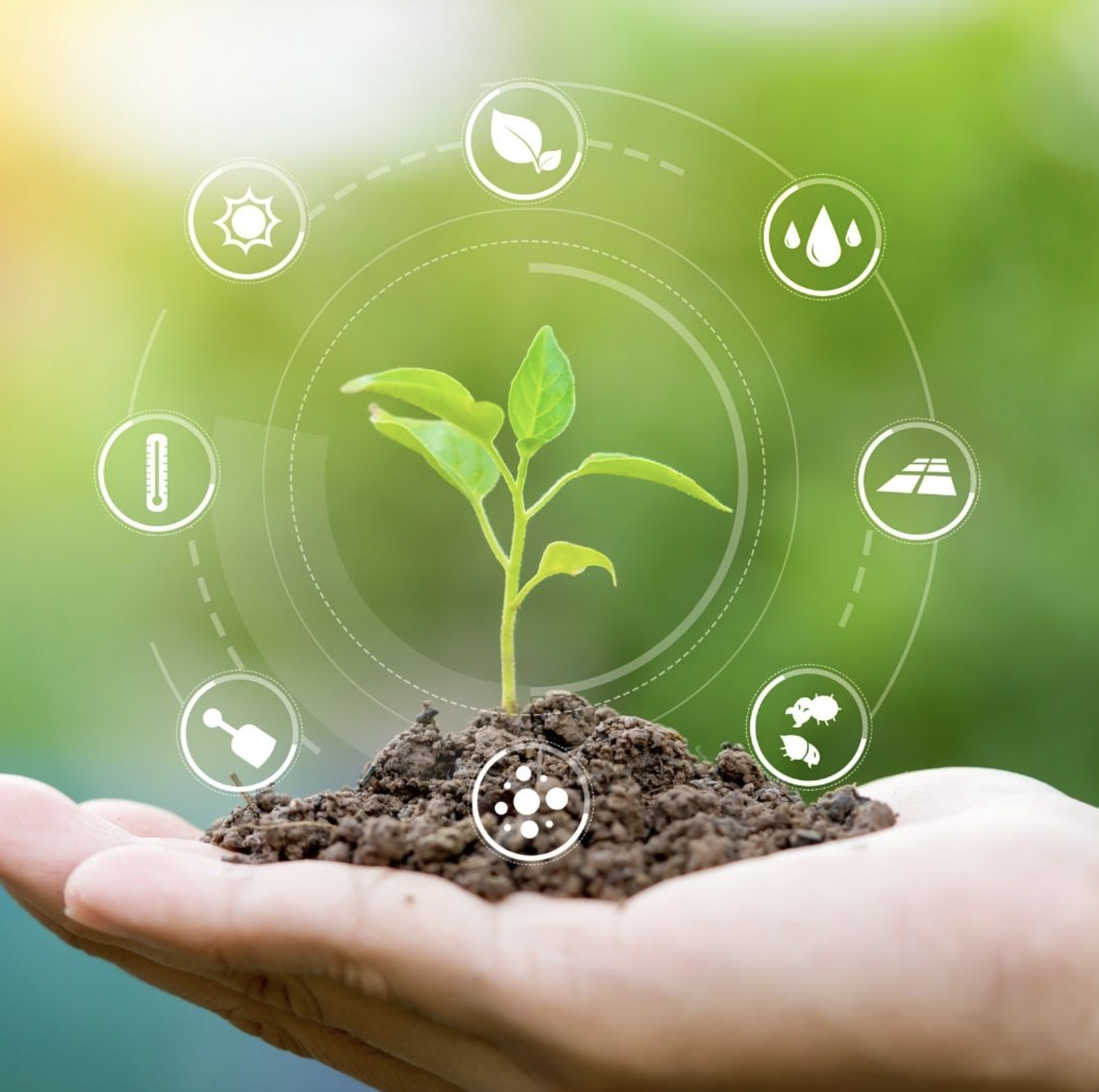 Observatorio de Anecoop