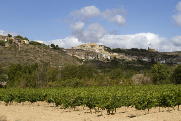 San martin de unx