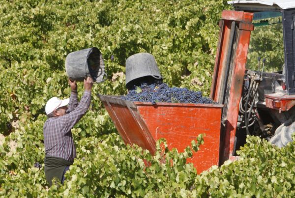 bodegas san martin