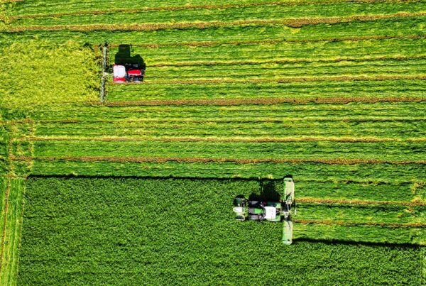 Guía sobre ayudas PAC 2026 para cooperativas: plazos, eco-regímenes y novedades en la solicitud única