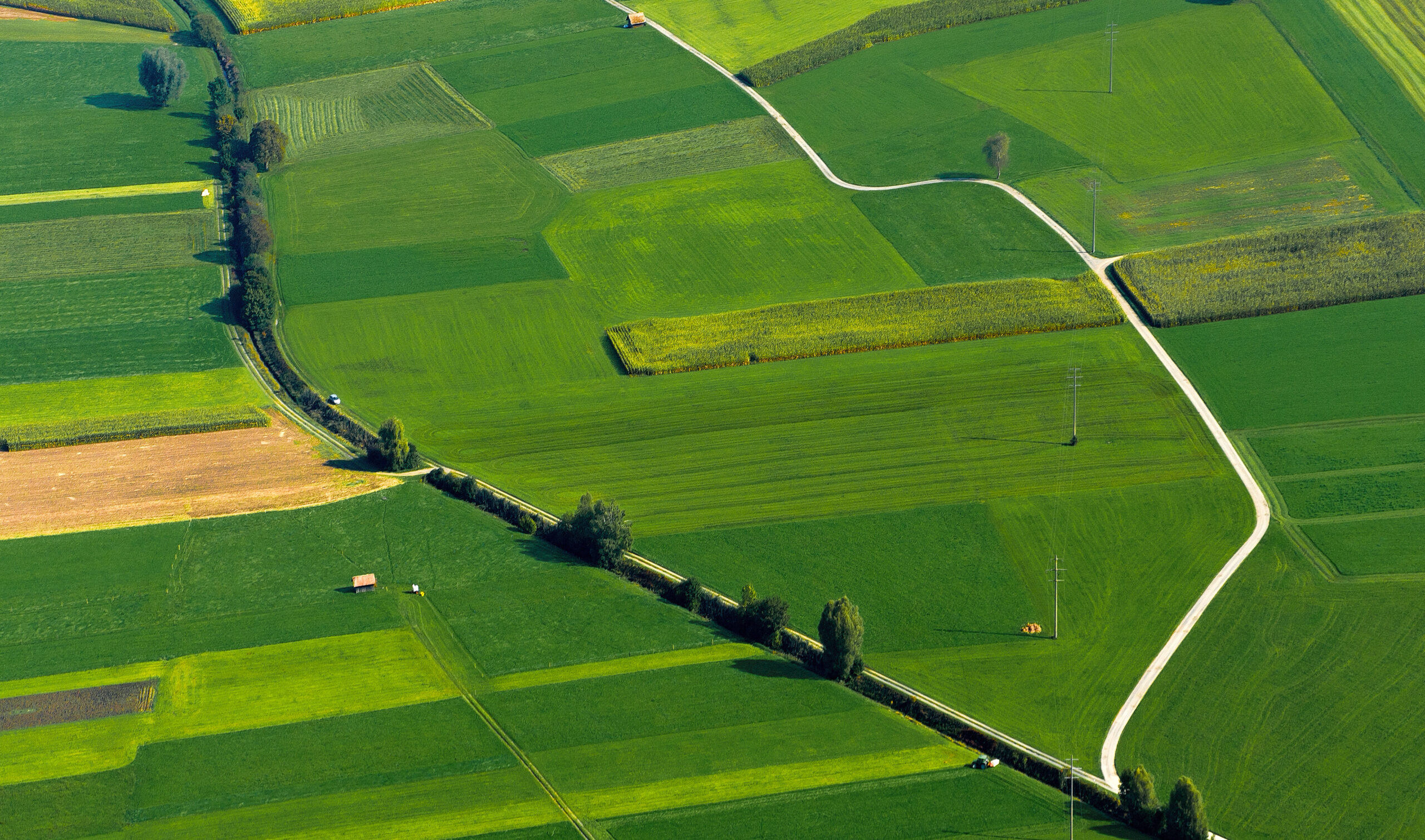 Infraestructura verde agrícola en cooperativas: setos, cubiertas vegetales y refugios para fauna útil con incentivos de eco-regímenes PAC
