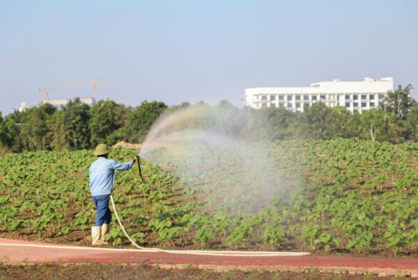 Técnicas de ahorro de agua en cítricos: riego deficitario controlado y sensores para reducir consumo sin perder cosecha