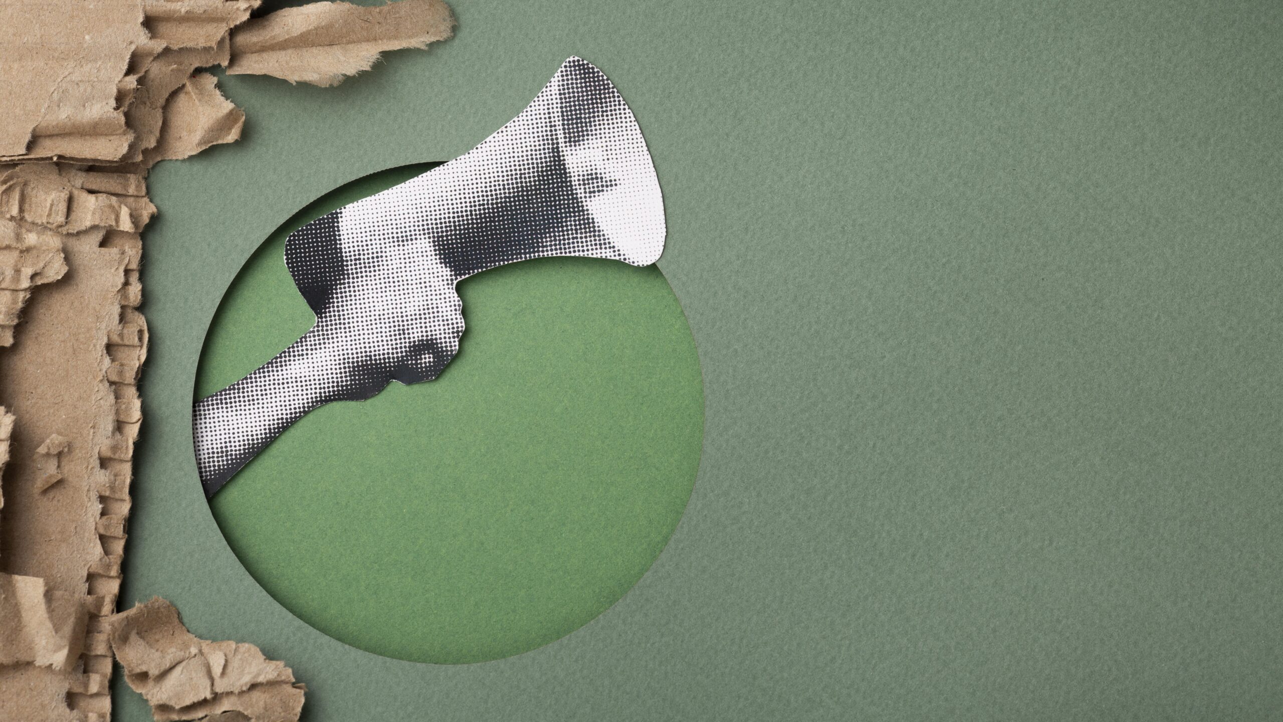 Cómo evitar el greenwashing al comunicar sostenibilidad en cooperativas con afirmaciones específicas, verificables y respaldadas por datos