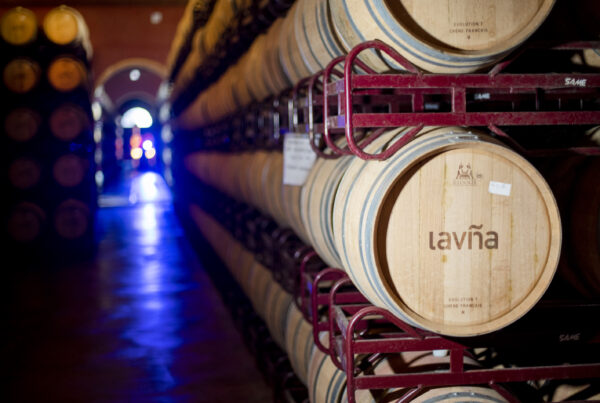 indicadores de sostenibilidad en bodega