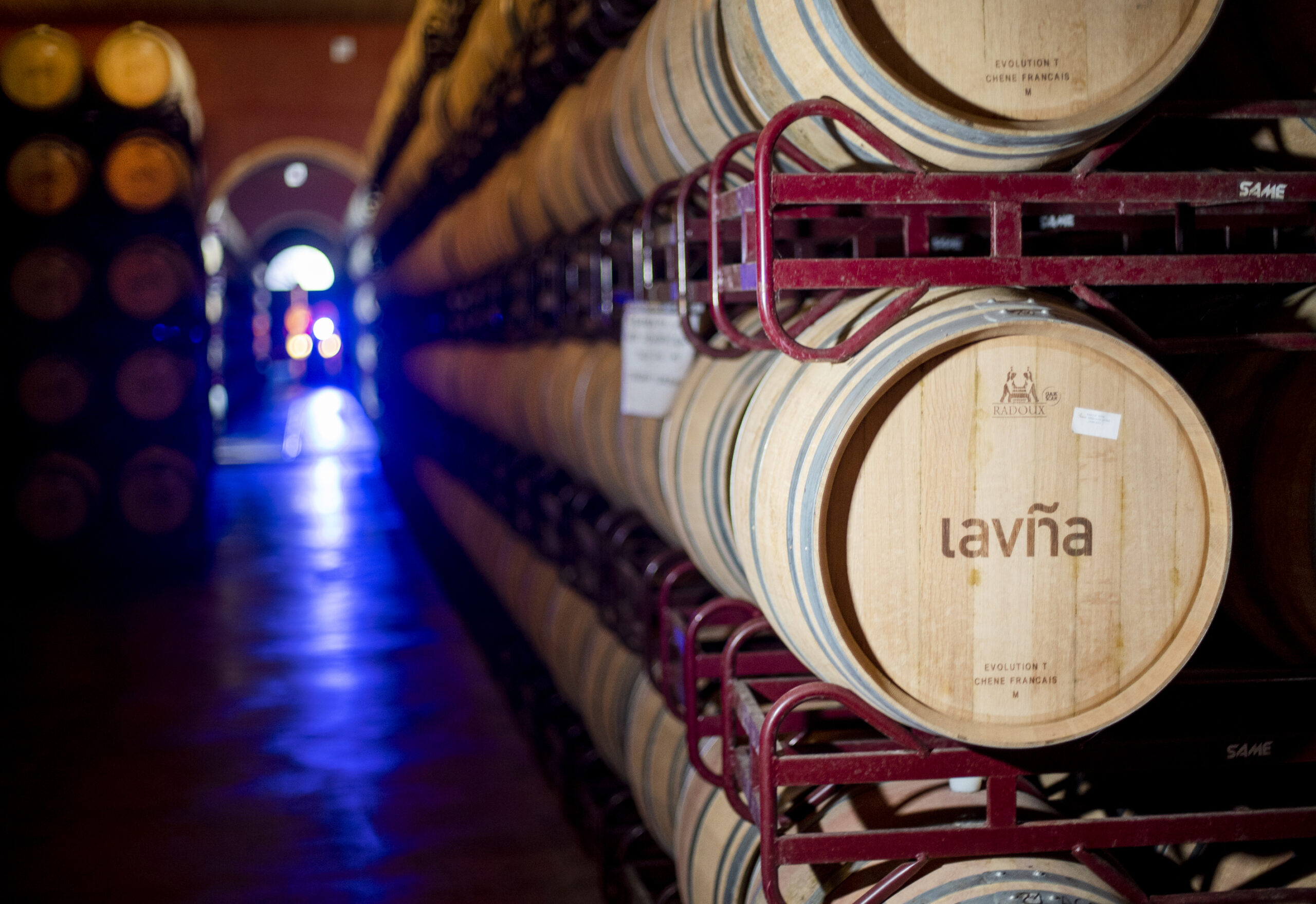 indicadores de sostenibilidad en bodega