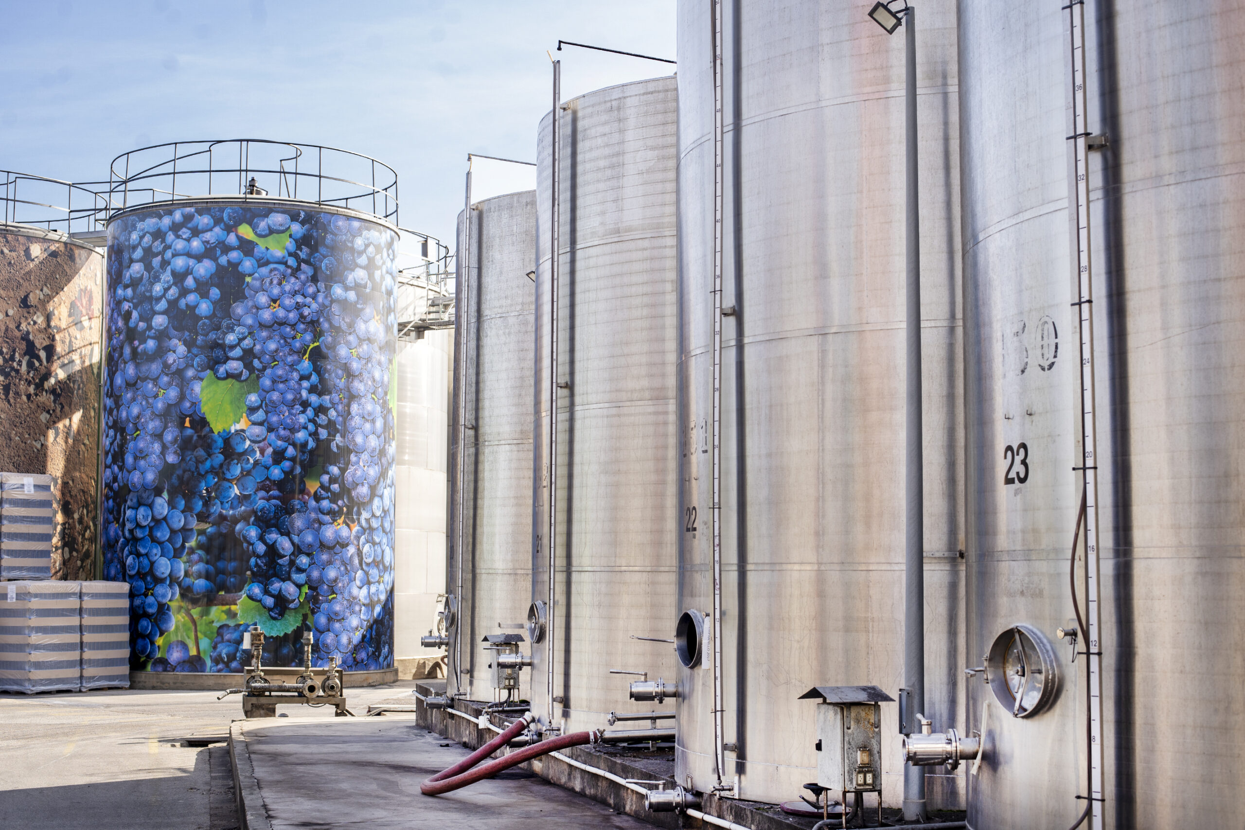 sostenibilidad estratégica en bodega cooperativa