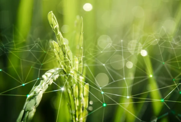 espacio de datos agroalimentario