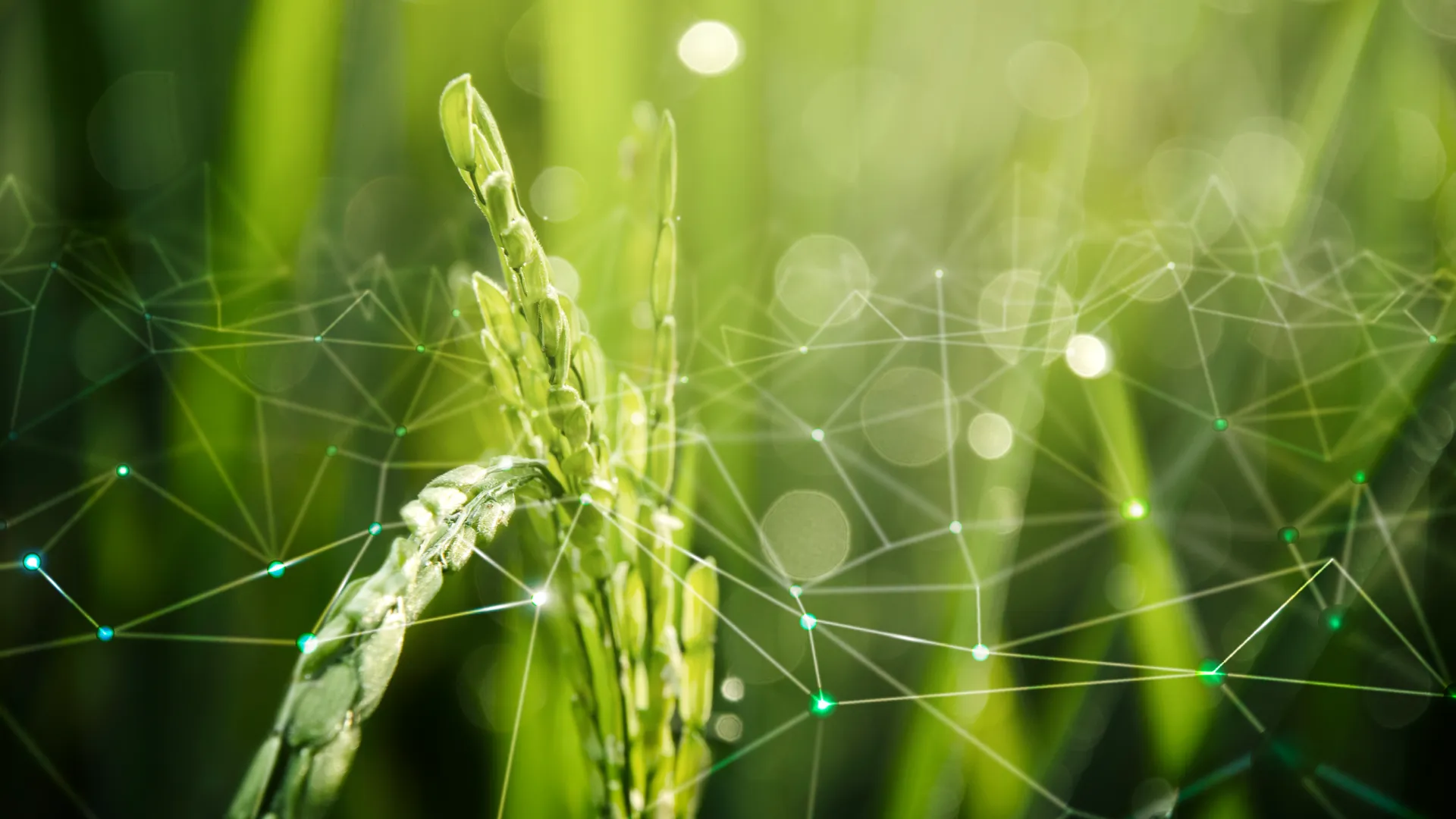 espacio de datos agroalimentario