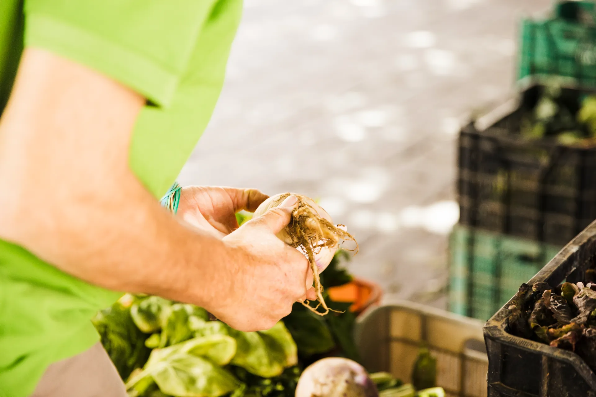 Gestión de residuos en cooperativas agroalimentarias